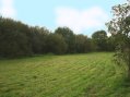 Plot For Sale In Ludchurch Dyfed