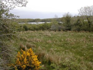 Land For Sale Aghadowey County Londonderry