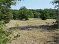 Land For Sale Brittany