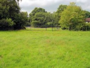 New Forest Hampshire Building Land