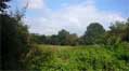 Plot For Sale In Headbrook Herefordshire