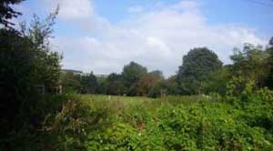 Plot of Land In Headbrook Herefordshire
