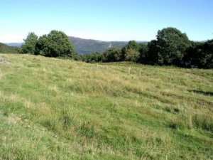 Loch Ness Building Land For Sale