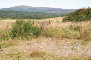 Land For Sale Scottish Highlands