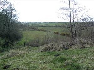 Land For Sale Coleraine County Londonderry