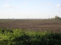  Plot of Land For Sale  Ely Suffolk