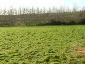 Pevensey East Sussex Plots For Sale
