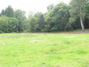Haslemere Plot For Sale