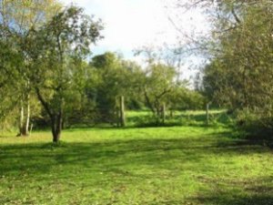 Steyning Plot For Sale