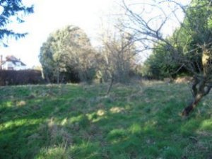 Steyning Plot For Sale