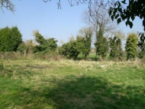 Land For Sale Harwell Oxfordshire
