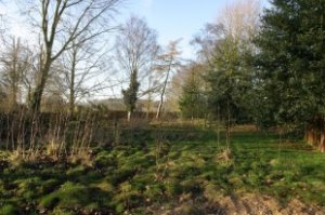 Land For Sale Rickinghall Suffolk