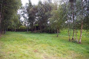 Building Plot For Sale Murthly Perthshire
