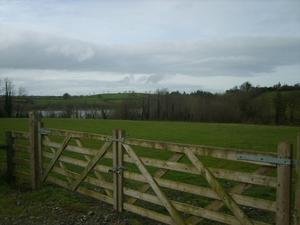 Plot For Self Build  Dungannon County Tyrone