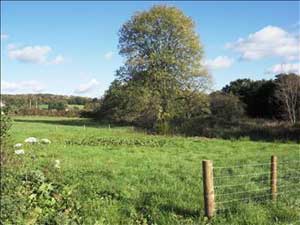 Plot of Land In Usk Gwent