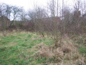 Plot of Land For Sale In Barlaston Staffordshire 