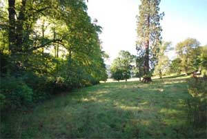 Building Plot For Sale  Fortingall Perthshire