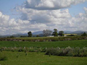 Plot of Land In The Scottish Borders