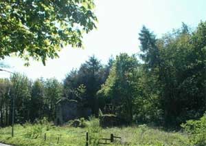 Plot of Land In Pumpherston